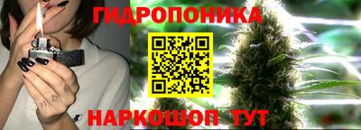 гидропоника Обь