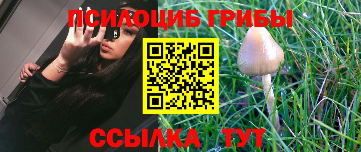 Псилоцибиновые грибы мицелий  Псилоцибиновые грибы Cubensis  купить  цена  Сочи  Вход с VPN 
