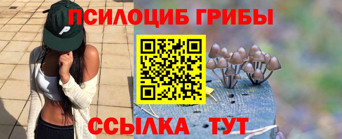 Галлюциногенные грибы прущие грибы Сочи